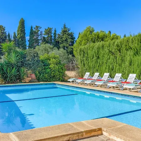 Palmeras By Plus * Port de Pollenca