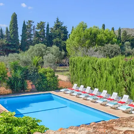 Palmeras By Plus * Port de Pollenca